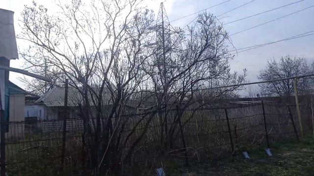 ВЛОГ 🌳🍇🌲Прогулка по Саду 16 соток🐈 Коты за мной Виноградники О Ля Ля💖