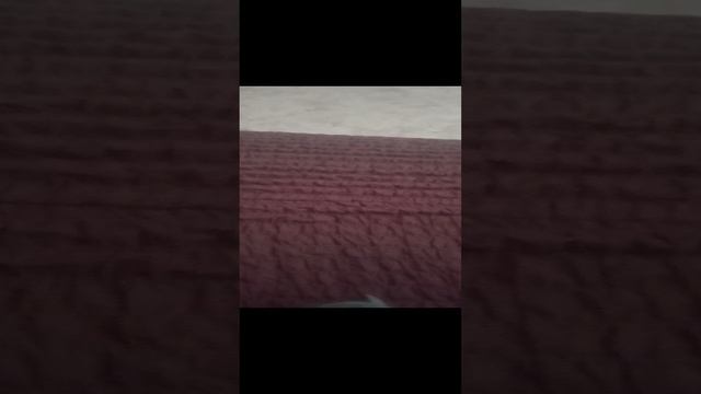 VID_20240817_170737.mp4