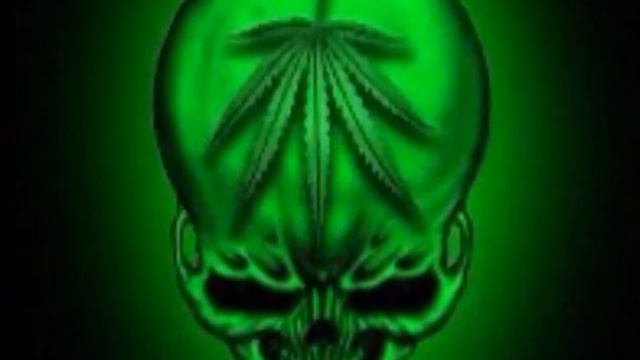 Познакомьтесь с известными личностями