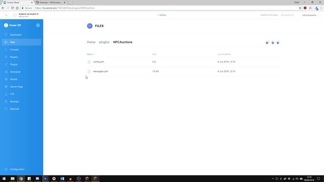 How To Setup NPC Auctions - Minecraft Java