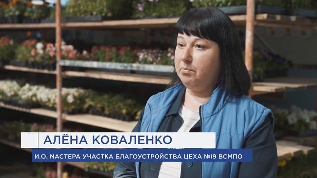 ЗАВОДСКИЕ ЦВЕТЫ