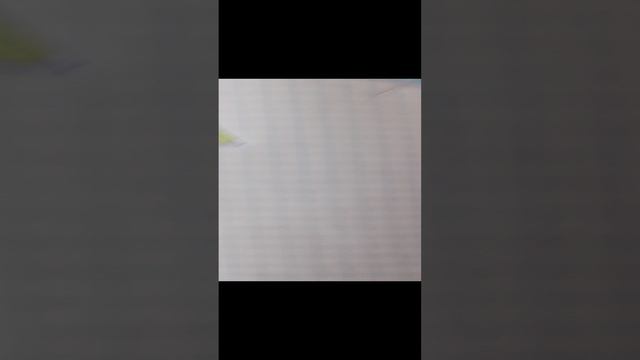 история про котиков 2 часть