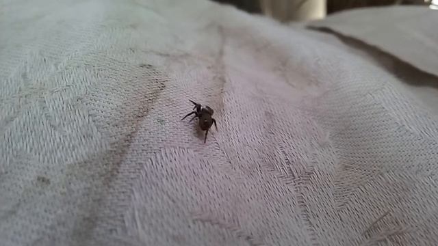 0d64df3e929fdefd2164925d5d847cab