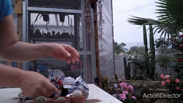 Посылочка-заказ из Кипра🌵#посылка