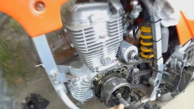 Зеленый след: экологичные садовые практики