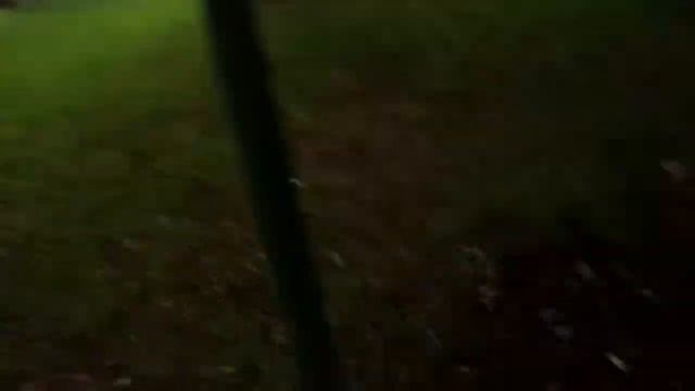 Халк существует
