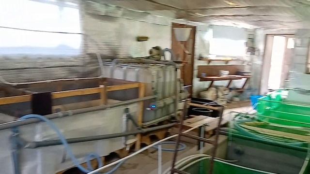 УЗВ из ванн