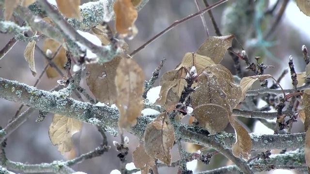 А за зимой придет весна...