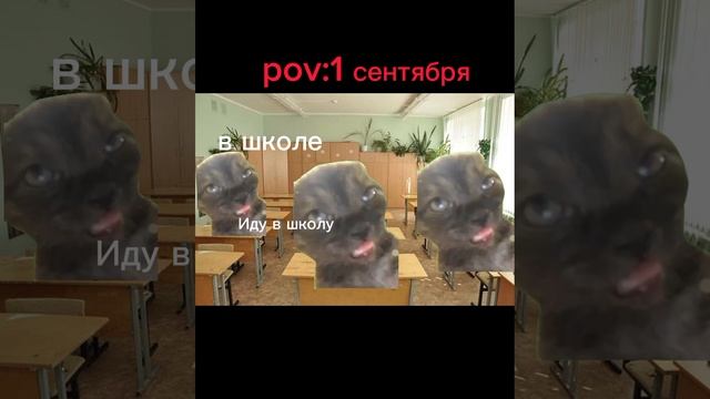 Pov:1 сентября