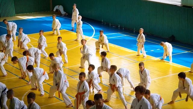 Получить оранжевый пояс по Каратэ 2019