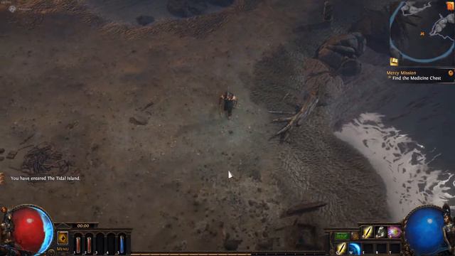 Path Of Exile - WIPE