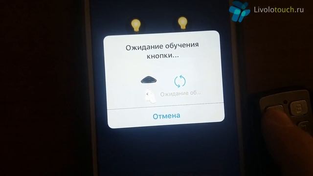 Broadlink RM PRO 2 + LIVOLO