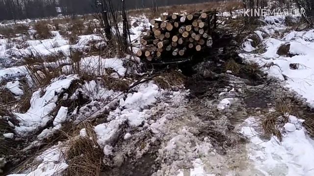 Заготівля дров