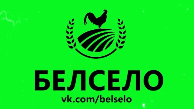Сельский туризм в Белгородской области. Чернянка 2022. Короча 2022. Вейделевка 2022