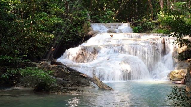 Beautiful Relaxing Waterfall Sound With Birds And Music For Stress Relief And Meditation