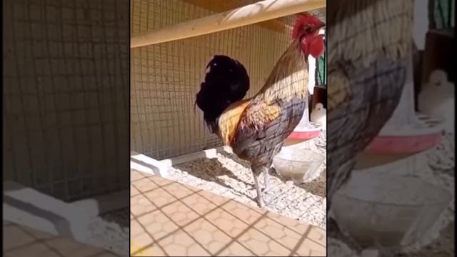 243a2766022c0b83113ec515be5a084f