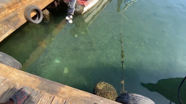 We Went Fishing At PORT ROYAL JAMAICA #catchcleanandcook #hunting