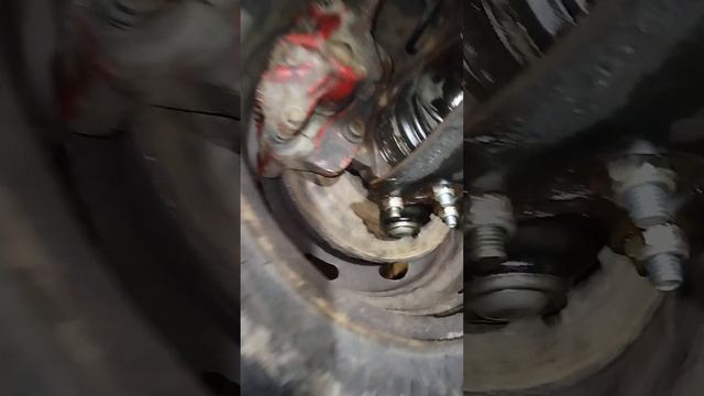 Романтические гонки на Citroën