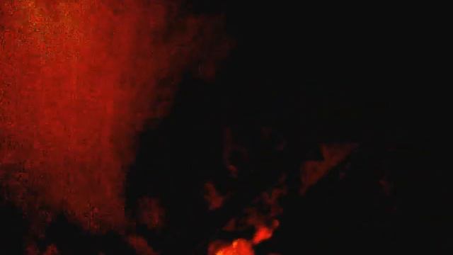 Шпиц,Смех, играет с резиновой уткой,