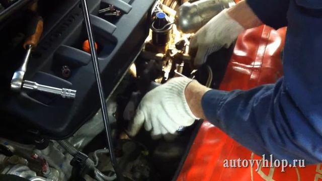 Интерьерная Жизнь