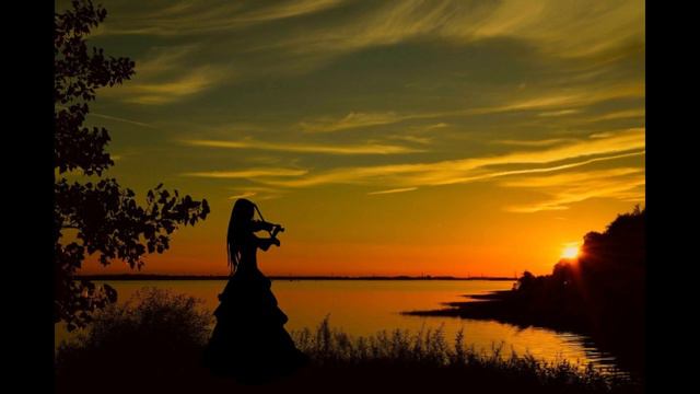 0f5816e79a3477a84560a8ffb997912a