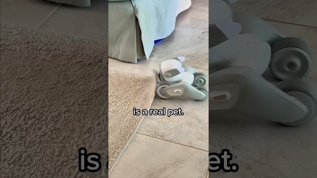 Meet My AI Robot Pet, Loona