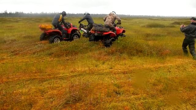 квадроциклы в болоте