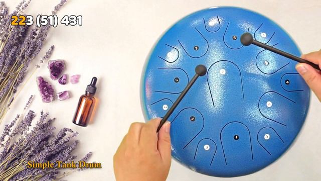Sarà Perché Ti Amo - 15 Tone Steel Tongue Drum / Tank Drum Cover With Tabs