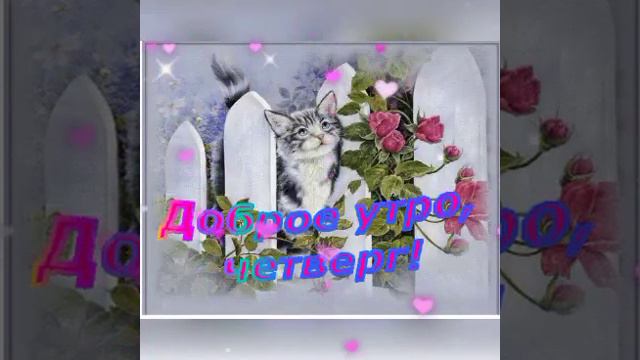 С ДОБРЫМ УТРОМ ЧЕТВЕРГА!