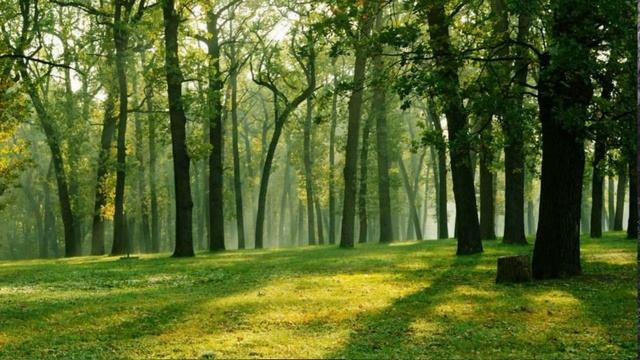 3ff77421582c7bfd12b28a53587d9ba9