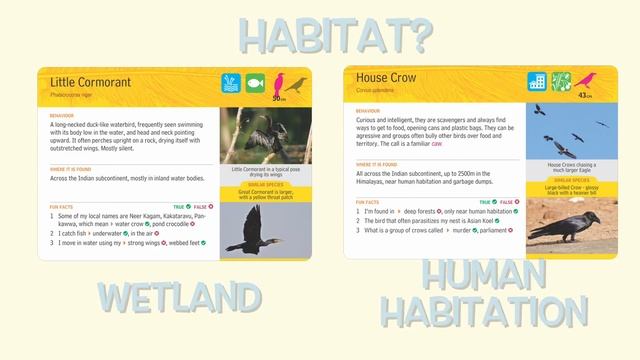 44865b28c9a93f65b9c27fe705195ac5