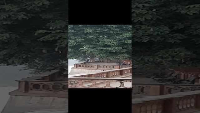 Красота тишины