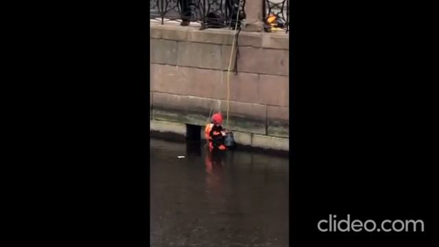 Елизавета Боярская сняла драматичное спасение кошки из Мойки