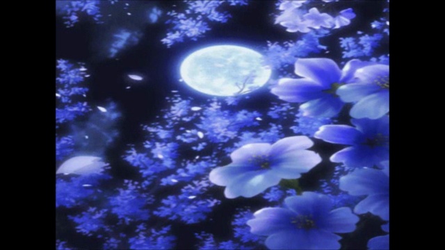 J'en Ai Trop Vu-Paroles/Lyrics: Sylvia Lhene/Musique/Music: Secret Garden