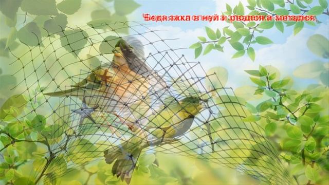 68ecb05dbe9f61ba83b455a281a87886