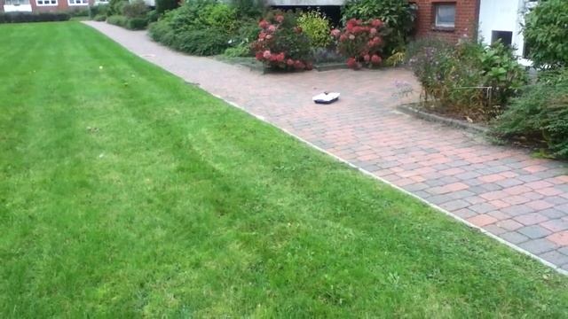 MCP Blood Eagle Test-Drive