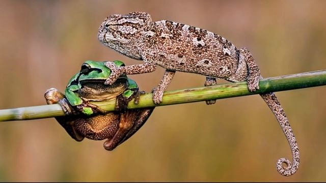 60 невозможных фото без использования фотошопа