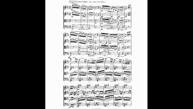 A. Dvorak: String Quartet No.9 In D-minor, Op.34 (2/4 Alla Polka)