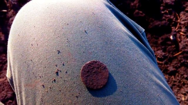 ФАРТОВЫЙ КОП! Первая ПОЛУШКА С ФОРТУНА М2