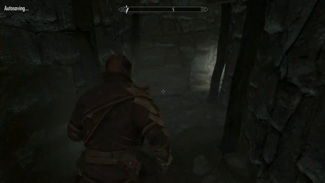 THE PSIJIC ORDER?? (Skyrim Special Edition)