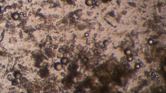 8c006cdb9a13c9ebeb4f5014f61d6c7b