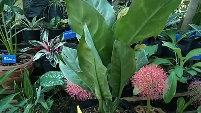 744c20da6878fed37176140c82d08468