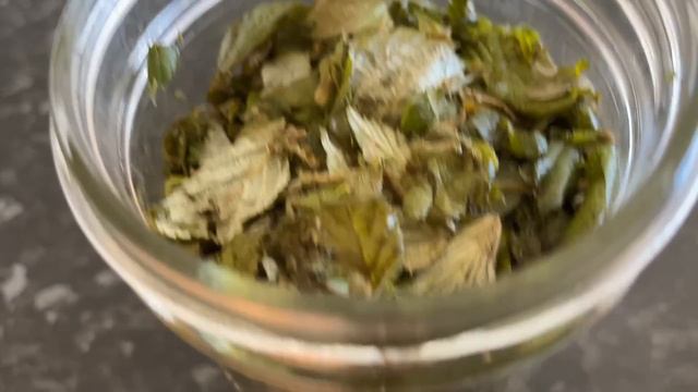 Making Fermented Blackberry Leaf Tea