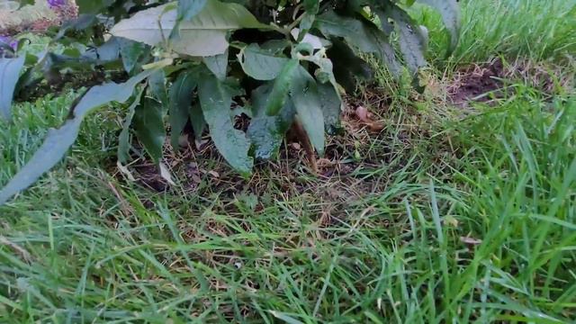 Ff0f2a68f4c7b8a5195e28bd1bd39128