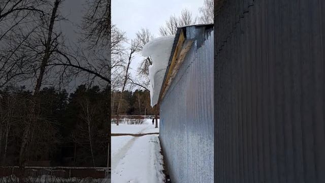 8824ed8b885c826a304a7d66f23e2748