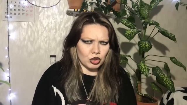 даша дошик - хайп или безысходность?