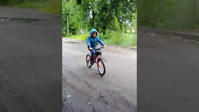 12 июня 2016 г.