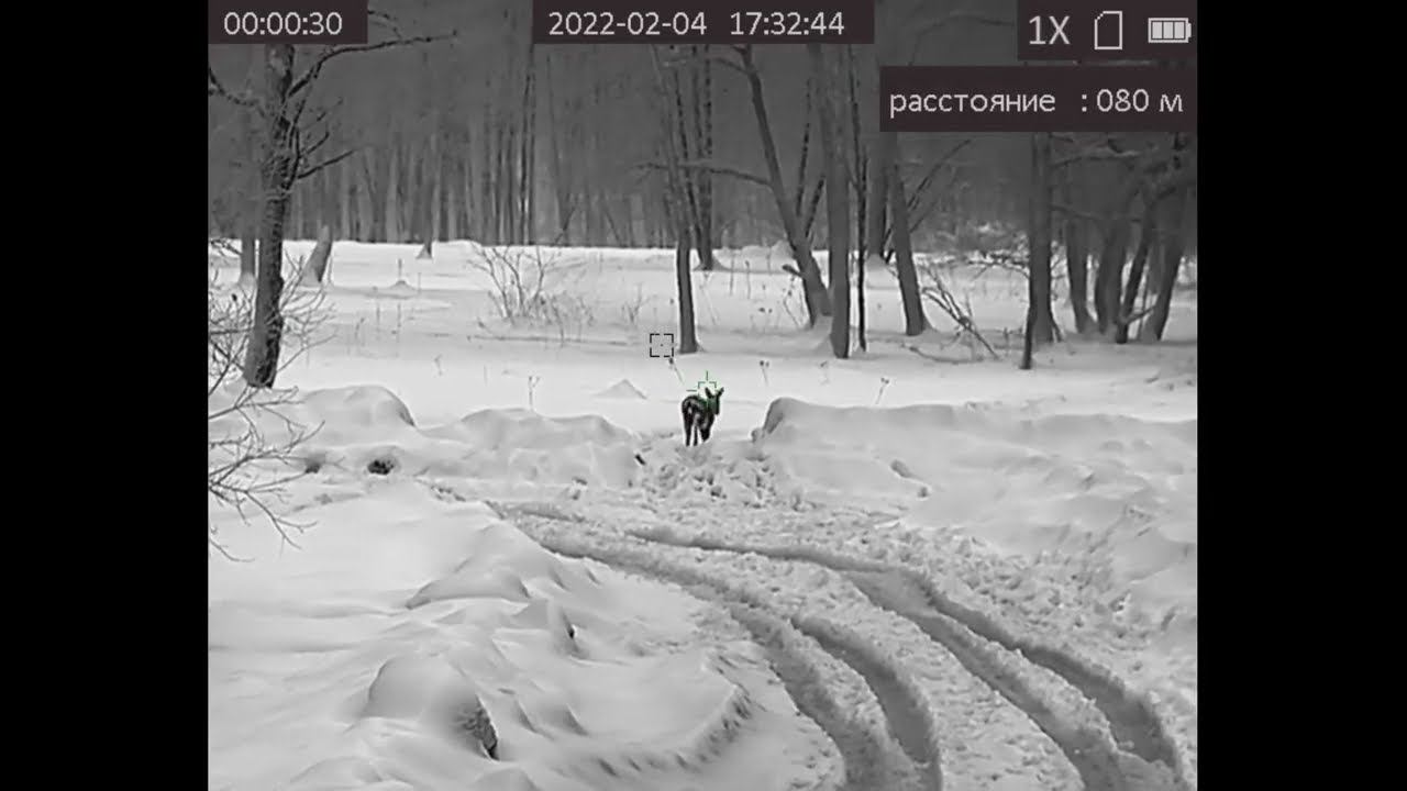 HIKMICRO PANTHER PQ50L 640x512 Тест прицела с вышки.
