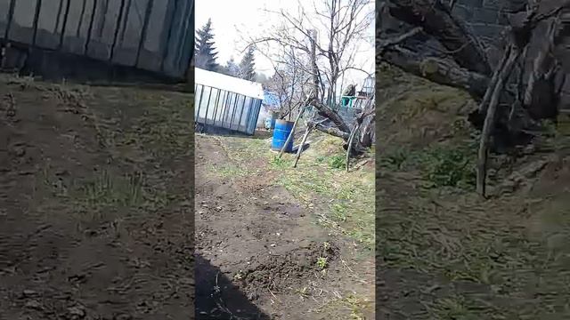 Мой обзор на даче весной часть 2