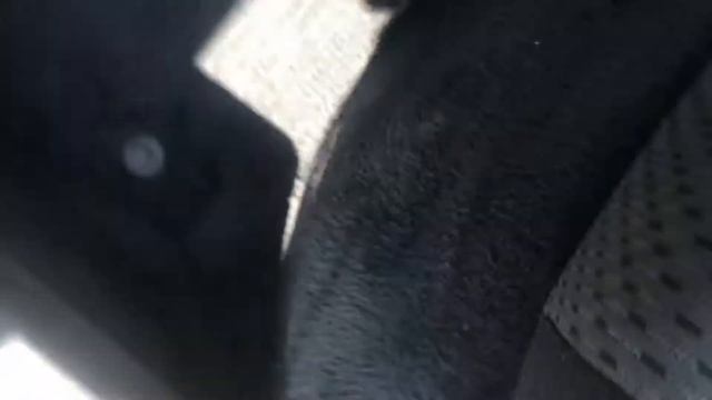 Сделай Свой Мир